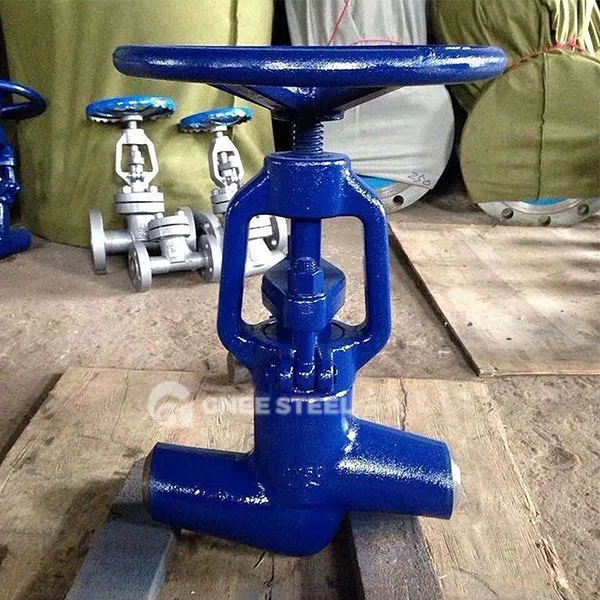 A182 F91 Globe Valve