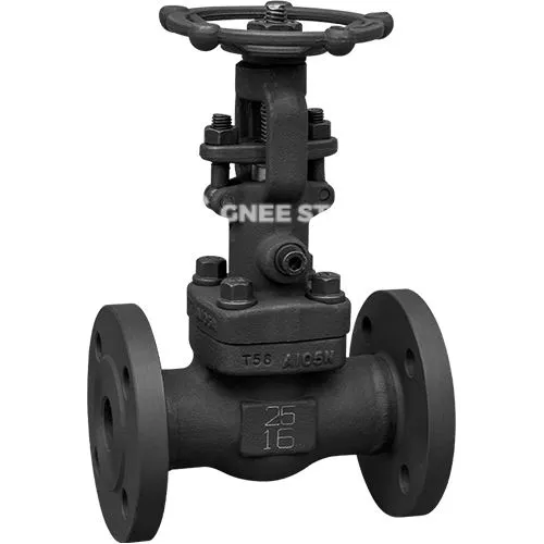 API 602 σφυρήλατο βαλβίδα πύλης