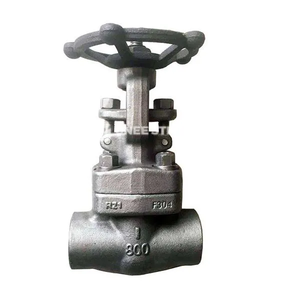 API 602 σφυρήλατο Globe Valves