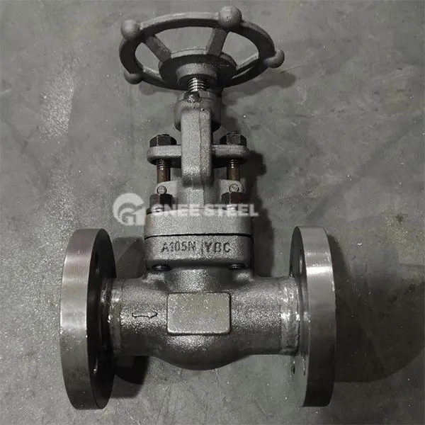 API 623 Globe Valves