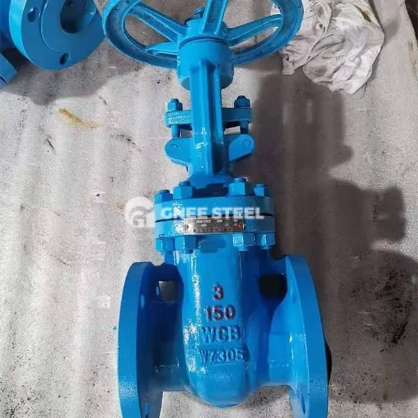 API600 OS & Y Cast Steel Gate Valve