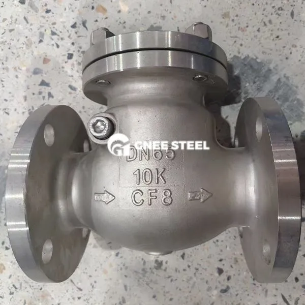 Βαλβίδα ελέγχου Swing Carbon Steel Ansi 300