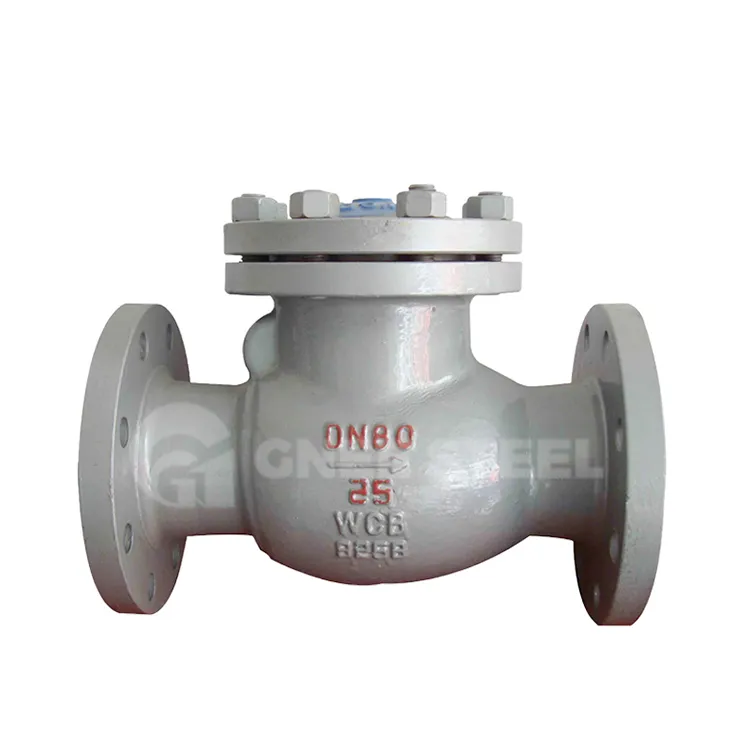 Βαλβίδα αντεπιστροφής από χυτό χάλυβα