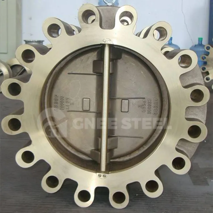 Βαλβίδα ελέγχου διπλής δίσκου