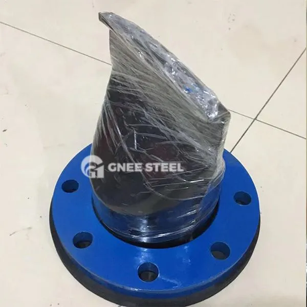 Βαλβίδα ελέγχου λογαριασμού πάπιας