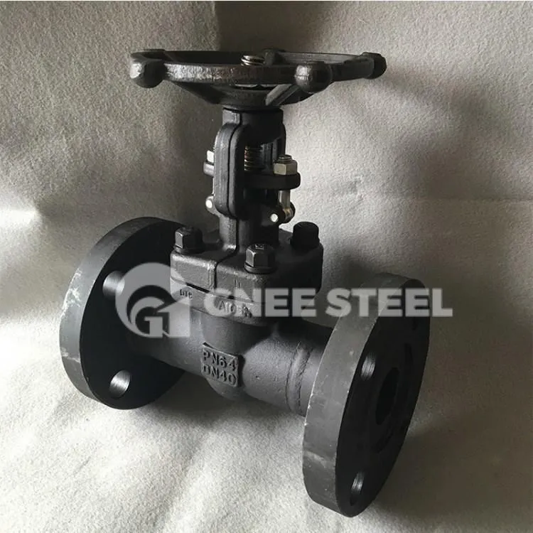 Σφυρήλατο A105 Globe Valve