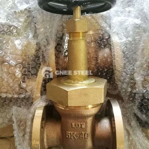 Βαλβίδα πύλης