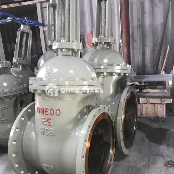 Βαλβίδες βιομηχανικής πύλης