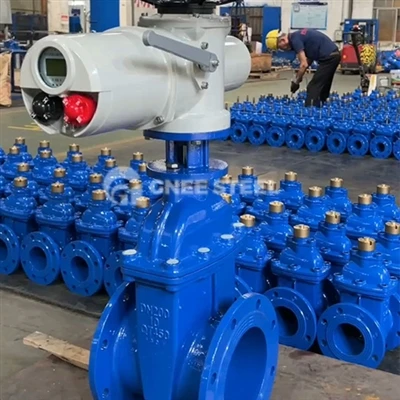 Ποια είναι η διαφορά μεταξύ της βαλβίδας AWWA C515 και AWWA C500