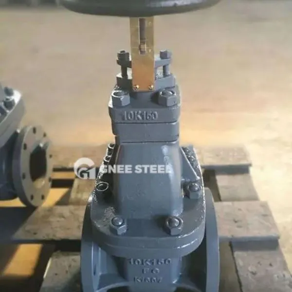 Βαλβίδα θαλάσσιας πύλης