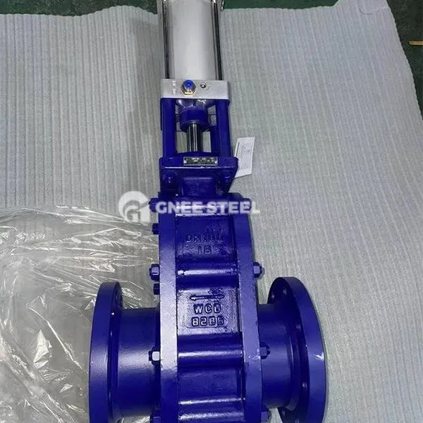 Βαλβίδα πνευματικής πύλης