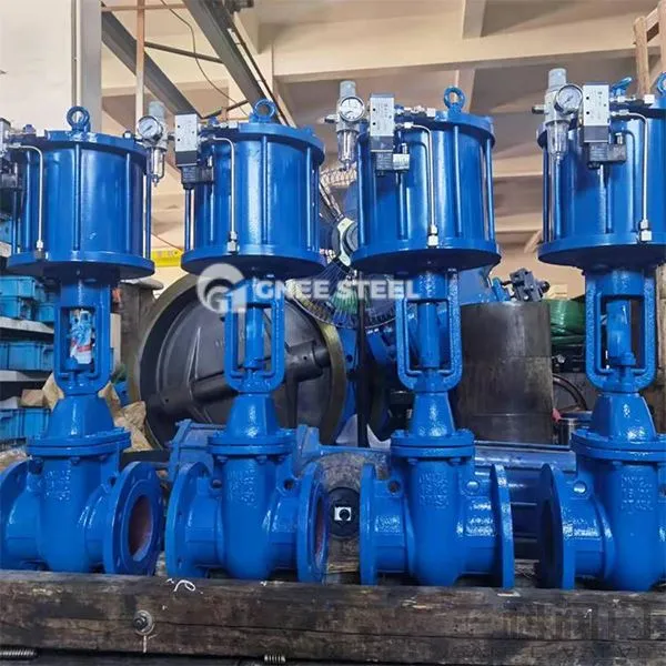 Βαλβίδες πύργου πνευματικής σφήνας